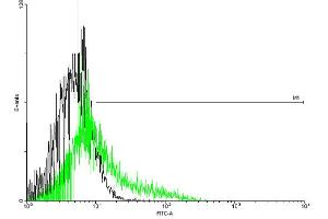 FACS analysis of negative control 293 cells (Black) and IL13RA2 expressing 293 cells (Green) using IL13RA2 purified MaxPab mouse polyclonal antibody. (IL13RA2 抗体  (AA 1-380))