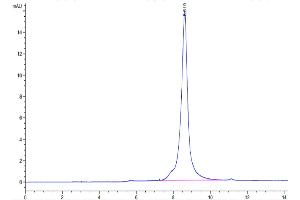 Size-exclusion chromatography-High Pressure Liquid Chromatography (SEC-HPLC) image for High Mobility Group Box 1 (HMGB1) (AA 1-215) protein (His tag,Biotin) (ABIN7274823)