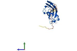 Protein Structure (PS) image for ASF1 Anti-Silencing Function 1 Homolog B (ASF1B) (AA 1-202) protein (His tag) (ABIN7552416)