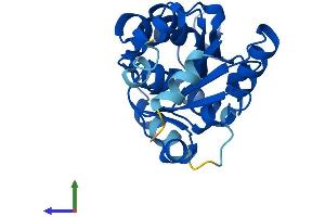 Protein Structure (PS) image for Phosphoserine Phosphatase (PSPH) (AA 1-225) protein (His tag) (ABIN7546113)