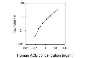 ELISA image for Angiotensin I Converting Enzyme 2 (ACE2) ELISA Kit (ABIN6952472)