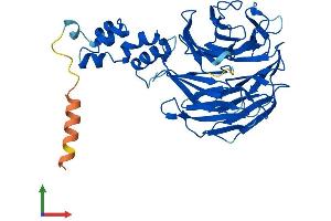 Protein Structure (PS) image for F-Box and WD Repeat Domain Containing 4 (FBXW4) (AA 1-412) protein (His tag) (ABIN7547678)