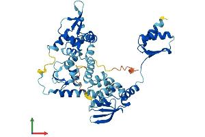 Protein Structure (PS) image for General Transcription Factor IIH, Polypeptide 4, 52kDa (GTF2H4) (AA 1-463) protein (His tag) (ABIN7562546)