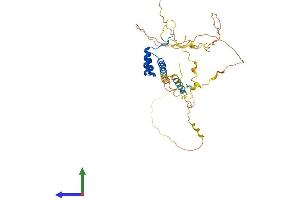 NKX6-1 Protein (AA 1-367) (His tag)
