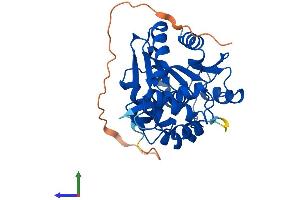 Protein Structure (PS) image for Abhydrolase Domain Containing 11 (ABHD11) (AA 1-307) protein (His tag) (ABIN7559569)