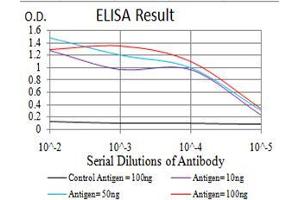 Black line: Control Antigen (100 ng), Purple line: Antigen(10 ng), Blue line: Antigen (50 ng), Red line: Antigen (100 ng),