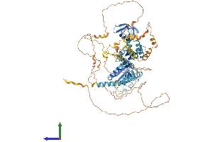 Protein Structure (PS) image for phosphoinositide-3-Kinase Adaptor Protein 1 (PIK3AP1) (AA 1-811) protein (His tag) (ABIN7565032)