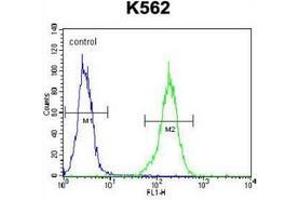Flow Cytometry (FACS) image for anti-Na+/K+ Transporting ATPase Interacting 1 (NKAIN1) (AA 156-186), (C-Term) antibody (ABIN953708)