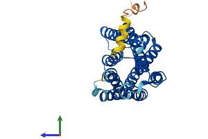 Protein Structure (PS) image for Retinal G Protein Coupled Receptor (RGR) (AA 1-291) protein (His tag) (ABIN7551349)