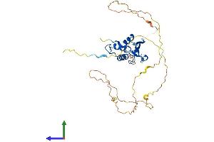 AlphaFold protein structure predicition of Mouse Recombinant Irf2 Protein, UniprotID P23906