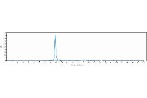 anti-CSF2RA (Mavrilimumab Biosimilar) antibody