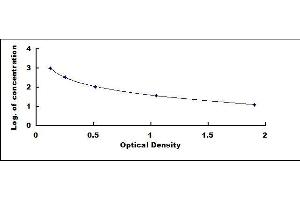 Typical standard curve (Estradiol ELISA 试剂盒)