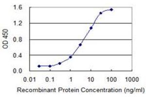 Detection limit for recombinant GST tagged GLRX2 is 0. (Glutaredoxin 2 抗体  (AA 1-124))