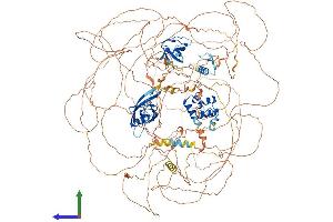 AlphaFold protein structure predicition of Mouse Recombinant Shank2 Protein, UniprotID Q80Z38
