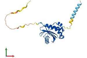 Protein Structure (PS) image for Coatomer Protein Complex, Subunit zeta 2 (COPZ2) (AA 1-205) protein (His tag) (ABIN7561503)
