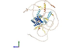 CABLES1 Protein (AA 1-568) (His tag)