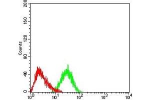 Flow cytometric analysis of HL-60 cells using CD248 mouse mAb (green) and negative control (red). (CD248 抗体  (AA 18-180))