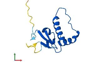AlphaFold protein structure predicition of Mouse Recombinant Eloc Protein, UniprotID P83940