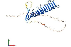 AlphaFold protein structure predicition of Mouse Recombinant Rsph1 Protein, UniprotID Q8VIG3 (RSPH1 Protein (AA 1-301) (His tag))