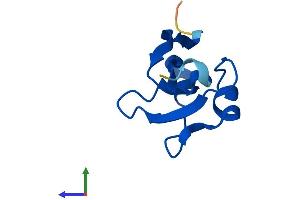 Protein Structure (PS) image for Cyclin-dependent kinases regulatory subunit 2 (CKS2) (AA 1-79) protein (Fc Tag) (ABIN7546555)
