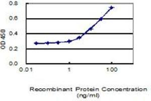 Detection limit for recombinant GST tagged LRRC34 is 1 ng/ml as a capture antibody. (LRRC34 抗体  (AA 1-419))