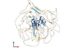 AlphaFold protein structure predicition of Human Recombinant LMTK2 Protein, UniprotID Q8IWU2