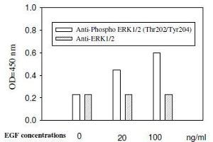 Image no. 4 for Mitogen-Activated Protein Kinase 1/3 (MAPK1/3) ELISA Kit (ABIN1981830)