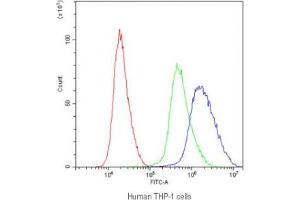 Flow cytometry testing of human THP-1 cells with APOBEC3G antibody at 1ug/10^6 cells (blocked with goat sera) (APOBEC3G 抗体)