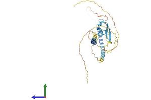 Protein Structure (PS) image for LysM, Putative Peptidoglycan-Binding, Domain Containing 3 (LYSMD3) (AA 1-305) protein (His tag) (ABIN7560364)