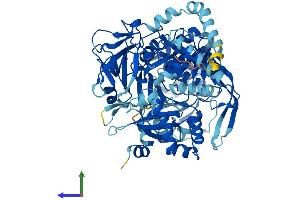 Protein Structure (PS) image for Acyl-CoA Synthetase Long-Chain Family Member 4 (ACSL4) (AA 1-711) protein (His tag) (ABIN7552001)