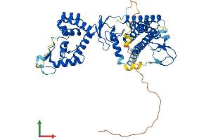 Protein Structure (PS) image for protein ariadne-2 homolog (ARIH2) (AA 1-493) protein (His tag) (ABIN7552385)