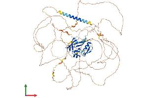 Protein Structure (PS) image for Ataxin 1 (ATXN1) (AA 1-815) protein (His tag) (ABIN7552542)