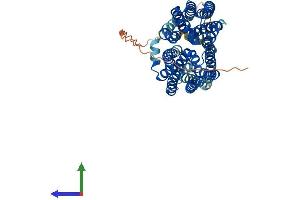 AlphaFold protein structure predicition of Human Recombinant FLVCR2 Protein, UniprotID Q9UPI3