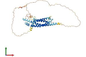 Protein Structure (PS) image for MARVEL Domain Containing 3 (MARVELD3) (AA 1-401) protein (His tag) (ABIN7549316)
