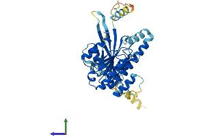 AlphaFold protein structure predicition of Human Recombinant DYNC2LI1 Protein, UniprotID Q8TCX1