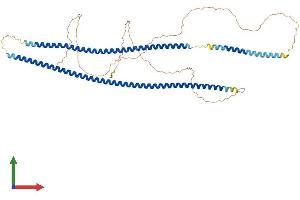 Protein Structure (PS) image for Keratin 75 (KRT75) (AA 1-551) protein (His tag) (ABIN7548597)