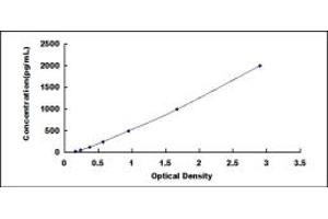 Typical standard curve (BMP2 ELISA 试剂盒)