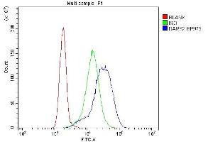Flow Cytometry analysis of K562 cells using anti-DARS2 antibody (ABIN6719279).