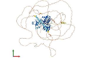 AlphaFold protein structure predicition of Human Recombinant ITPKB Protein, UniprotID P27987