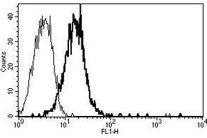 A typical staining pattern with the B-E47 monoclonal antibody of Eahy 926 cell line (CD109 抗体)