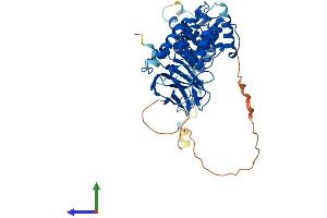Protein Structure (PS) image for Germ Cell-Less, Spermatogenesis Associated 1 (GMCL1) (AA 1-515) protein (His tag) (ABIN7548016)