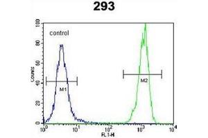 Flow Cytometry (FACS) image for anti-Olfactory Receptor, Family 10, Subfamily H, Member 1 (OR10H1) (AA 248-277), (C-Term) antibody (ABIN953819)