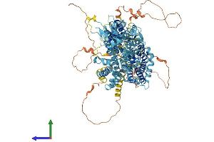 Protein Structure (PS) image for Solute Carrier Family 4, Sodium Bicarbonate Cotransporter, Member 8 (SLC4A8) (AA 1-1089) protein (His tag) (ABIN7564608)