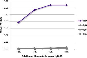 ELISA plate was coated with purified human IgD, IgG, IgM, and IgA. (小鼠 anti-人 IgD (Heavy Chain) Antibody (Alkaline Phosphatase (AP)))