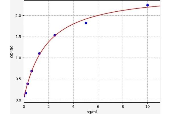 TEP1 ELISA 试剂盒