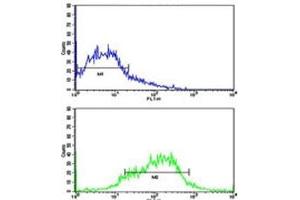 Flow cytometric analysis of HepG2 cells using EphA1 antibody (green) compared to a negative control (blue). (EPHA1 抗体  (AA 29-60))