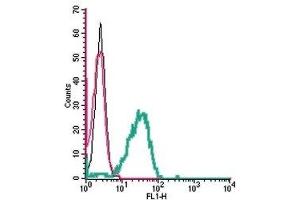 Flow Cytometry (FACS) image for anti-Solute Carrier Family 11 (Proton-Coupled Divalent Metal Ion Transporters), Member 1 (SLC11A1) (AA 322-335), (Extracellular) antibody (ABIN7043670)