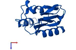 Protein Structure (PS) image for Adipogenesis Associated Mth938 Domain Containing (AAMDC) (AA 1-122) protein (His tag) (ABIN7551754)