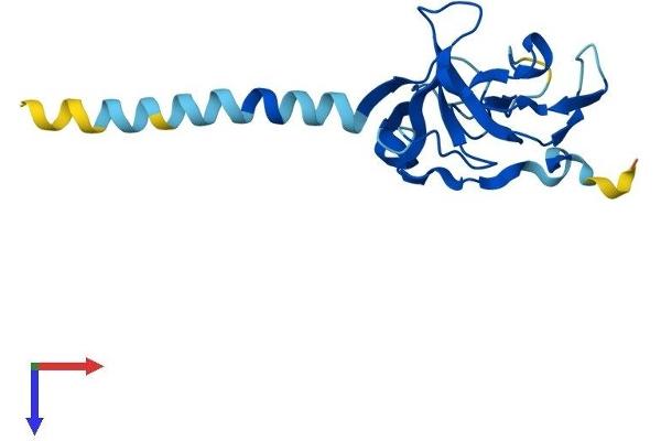 IMMP2L Protein (AA 1-175) (His tag)