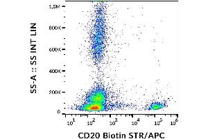 Surface staining of human peripheral blood with anti-CD20 (2H7) biotin, streptavidin. (CD20 抗体  (Biotin))